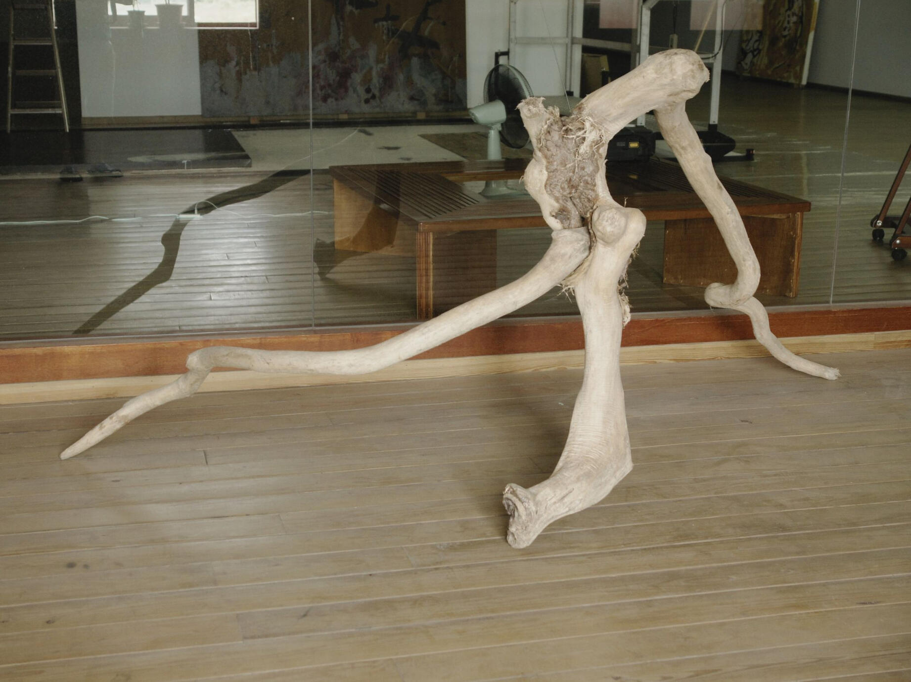 36.種子、土壤與海洋，不只是符號，是生命循環的語彙。