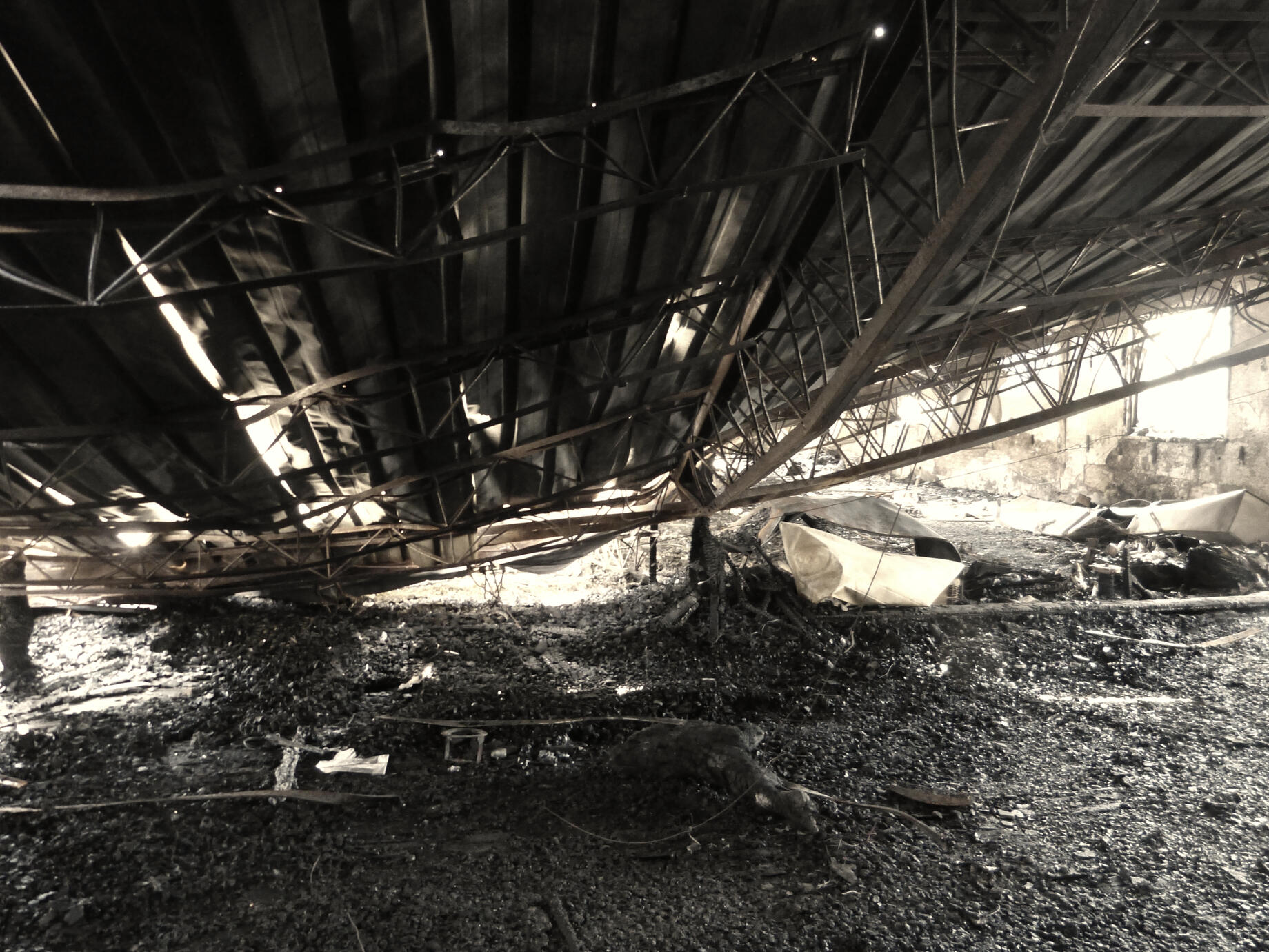 1.我從火裡走出來，才真正學會把創作當成呼吸，而不是任務。